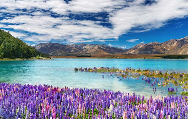 best-time-of-the-year-to-visit-new-zealand