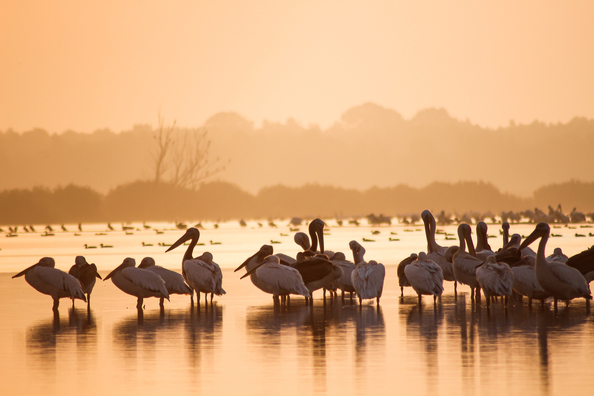 romania-danube-delta