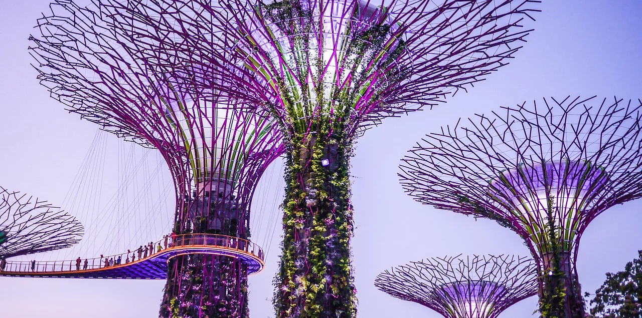 supertrees-gardens-by-the-bay-one-week-trip-to-Singapore
