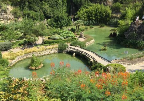 Best Things To Do In San Antonio