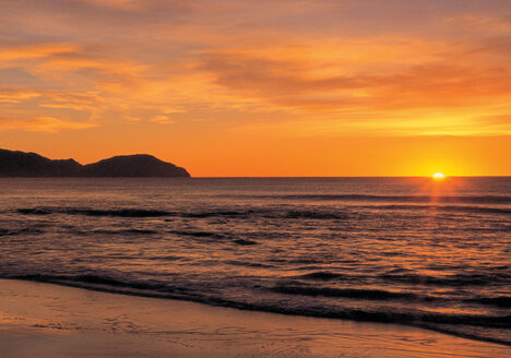 Wainui Beach