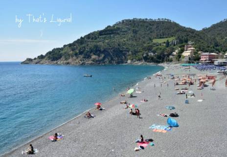 beach in Bonassola